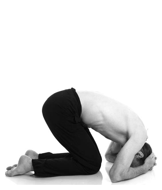 Иллюстрация к книге — Йога. Лучшие упражнения для каждого лунного дня. Сила Луны для здоровья и удачи [i_226.jpg]