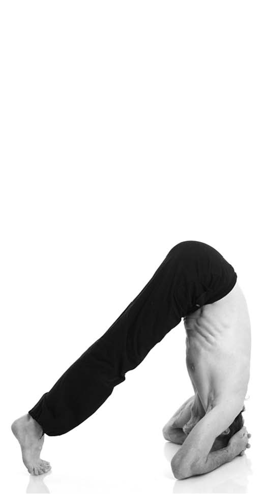 Иллюстрация к книге — Йога. Лучшие упражнения для каждого лунного дня. Сила Луны для здоровья и удачи [i_227.jpg]