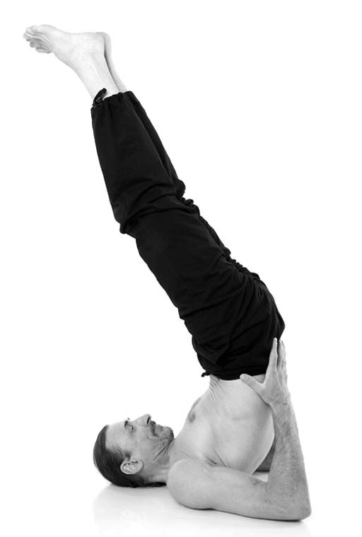 Иллюстрация к книге — Йога. Лучшие упражнения для каждого лунного дня. Сила Луны для здоровья и удачи [i_231.jpg]