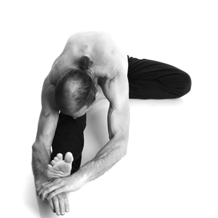 Иллюстрация к книге — Йога. Лучшие упражнения для каждого лунного дня. Сила Луны для здоровья и удачи [i_236.jpg]