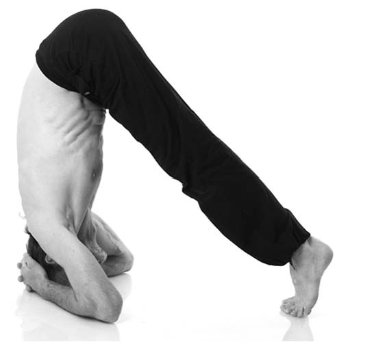 Иллюстрация к книге — Йога. Лучшие упражнения для каждого лунного дня. Сила Луны для здоровья и удачи [i_268.jpg]