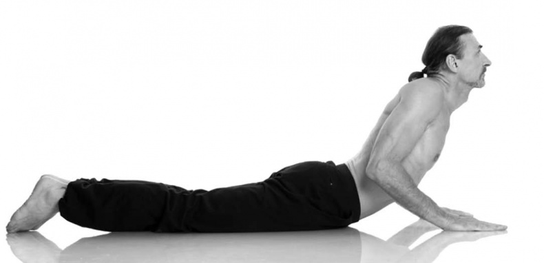 Иллюстрация к книге — Йога. Лучшие упражнения для каждого лунного дня. Сила Луны для здоровья и удачи [i_273.jpg]