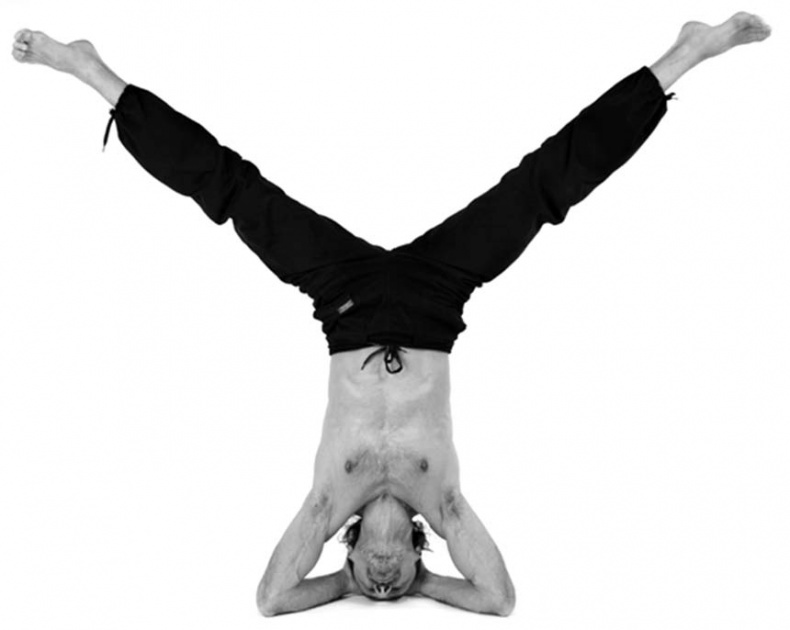 Иллюстрация к книге — Йога. Лучшие упражнения для каждого лунного дня. Сила Луны для здоровья и удачи [i_281.jpg]