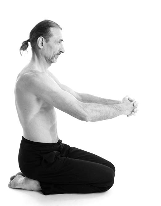 Иллюстрация к книге — Йога. Лучшие упражнения для каждого лунного дня. Сила Луны для здоровья и удачи [i_294.jpg]