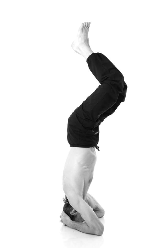 Иллюстрация к книге — Йога. Лучшие упражнения для каждого лунного дня. Сила Луны для здоровья и удачи [i_297.jpg]