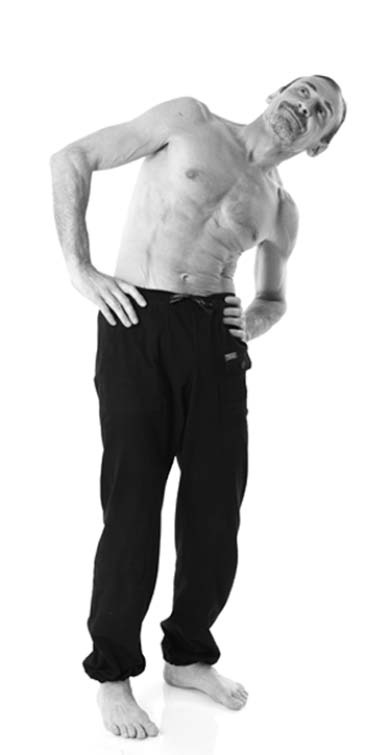 Иллюстрация к книге — Йога. Лучшие упражнения для каждого лунного дня. Сила Луны для здоровья и удачи [i_302.jpg]