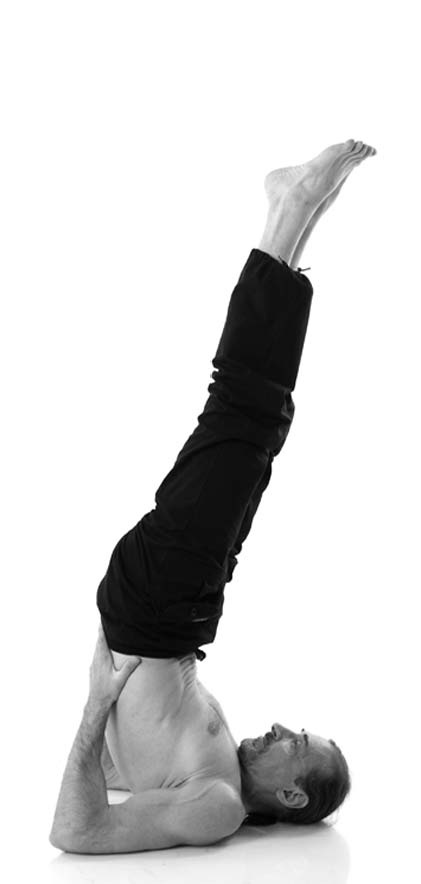 Иллюстрация к книге — Йога. Лучшие упражнения для каждого лунного дня. Сила Луны для здоровья и удачи [i_326.jpg]