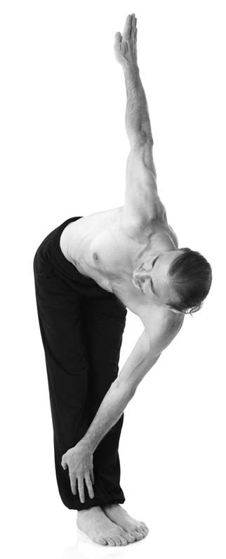 Иллюстрация к книге — Йога. Лучшие упражнения для каждого лунного дня. Сила Луны для здоровья и удачи [i_339.jpg]