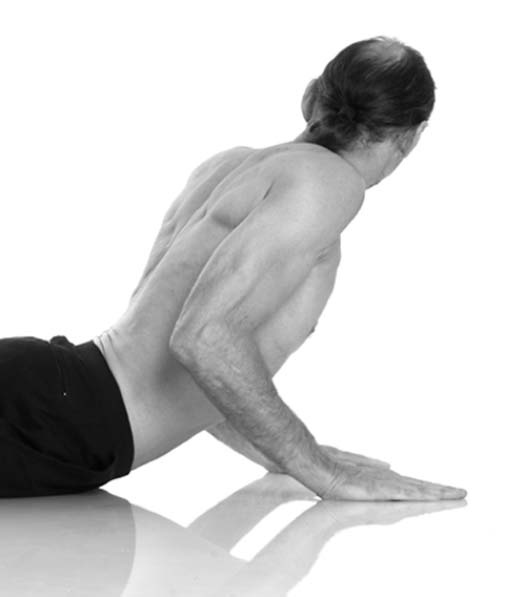 Иллюстрация к книге — Йога. Лучшие упражнения для каждого лунного дня. Сила Луны для здоровья и удачи [i_346.jpg]