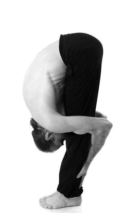 Иллюстрация к книге — Йога. Лучшие упражнения для каждого лунного дня. Сила Луны для здоровья и удачи [i_362.jpg]