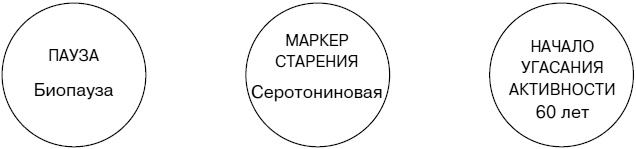 Иллюстрация к книге — Не хочу стареть! Энциклопедия методов антивозрастной медицины [i_025.jpg]