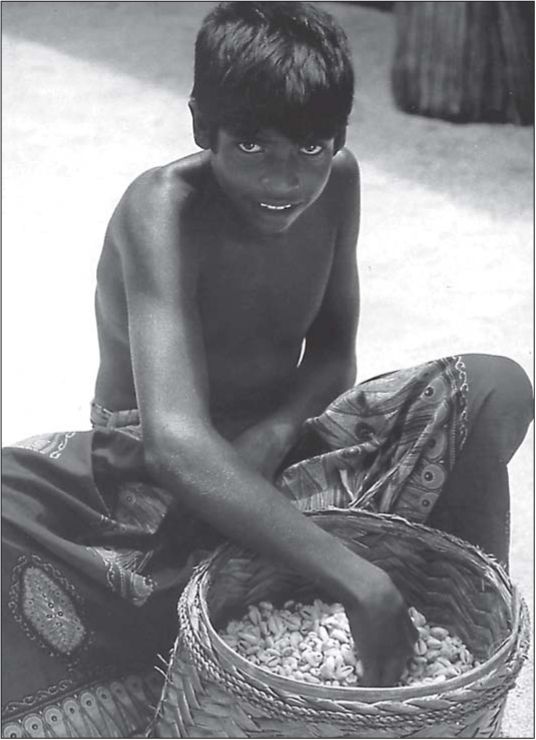 Иллюстрация к книге — Морские тайны древних славян [i_065.jpg]