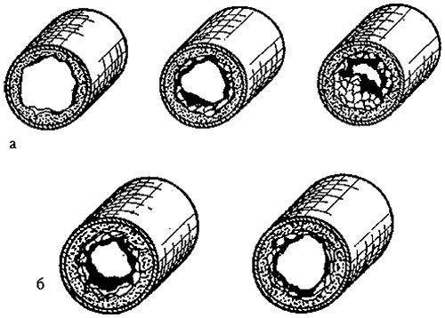 Иллюстрация к книге — Почему мы так мало живем? Совершенно секретно [i_005.jpg]