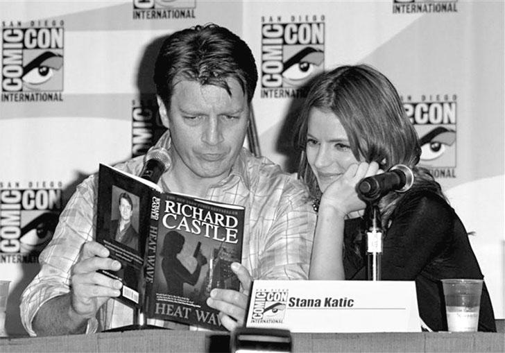 Иллюстрация к книге — Касл. Обратная сторона Жары [_8.jpg]