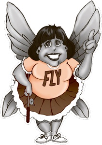 Иллюстрация к книге — Школа Флайледи. Как навести порядок в доме и в жизни [i_005.jpg]