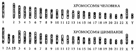 Иллюстрация к книге — Гармоничное развитие вашего ребенка [i_002.jpg]
