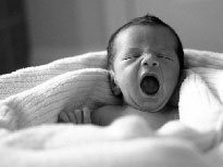 Иллюстрация к книге — Гармоничное развитие вашего ребенка [i_019.jpg]