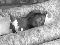 Иллюстрация к книге — Гармоничное развитие вашего ребенка [i_020.jpg]