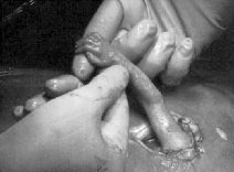 Иллюстрация к книге — Гармоничное развитие вашего ребенка [i_023.jpg]