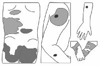 Иллюстрация к книге — Гармоничное развитие вашего ребенка [i_056.jpg]