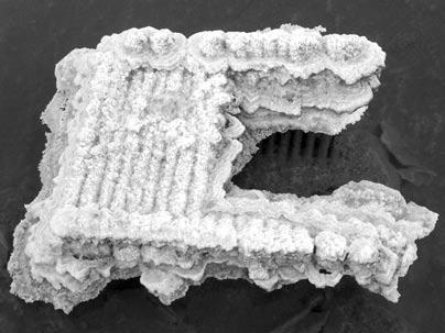 Иллюстрация к книге — Тренинги развития с подростками. Творчество, общение, самопознание [Autogen_eBook_id88.jpg]