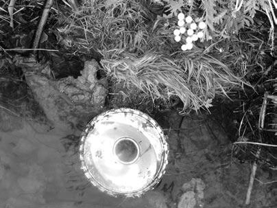 Иллюстрация к книге — Тренинги развития с подростками. Творчество, общение, самопознание [Autogen_eBook_id89.jpg]