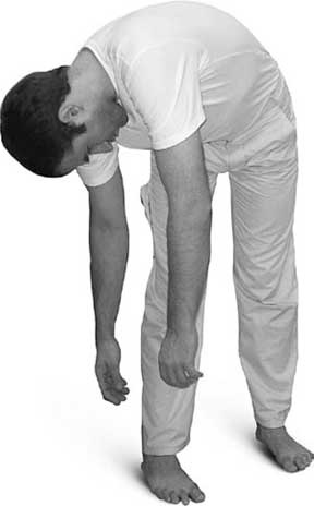 Иллюстрация к книге — Йога для позвоночника и суставов [i_027.jpg]