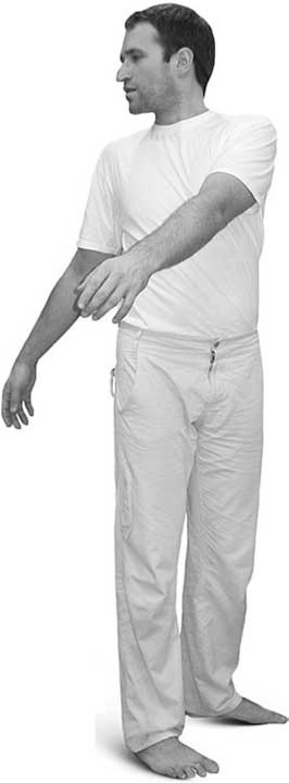 Иллюстрация к книге — Йога для позвоночника и суставов [i_042.jpg]