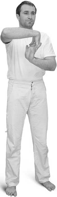 Иллюстрация к книге — Йога для позвоночника и суставов [i_047.jpg]