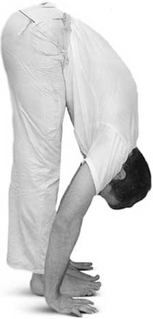 Иллюстрация к книге — Йога для позвоночника и суставов [i_060.jpg]