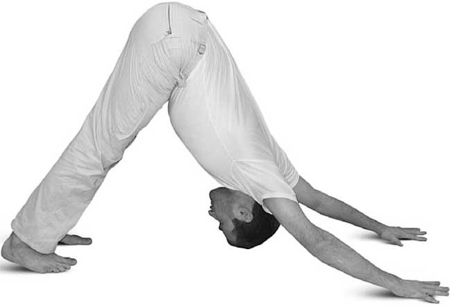 Иллюстрация к книге — Йога для позвоночника и суставов [i_065.jpg]