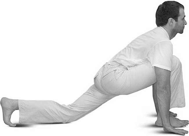 Иллюстрация к книге — Йога для позвоночника и суставов [i_066.jpg]