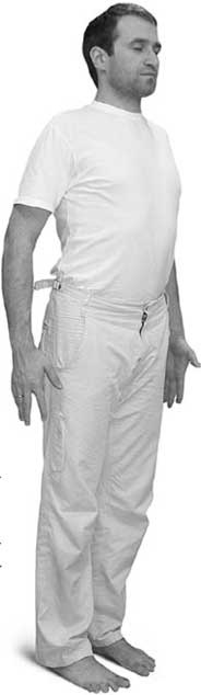 Иллюстрация к книге — Йога для позвоночника и суставов [i_069.jpg]