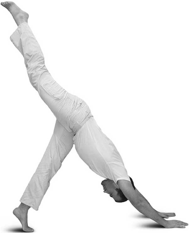 Иллюстрация к книге — Йога для позвоночника и суставов [i_088.jpg]