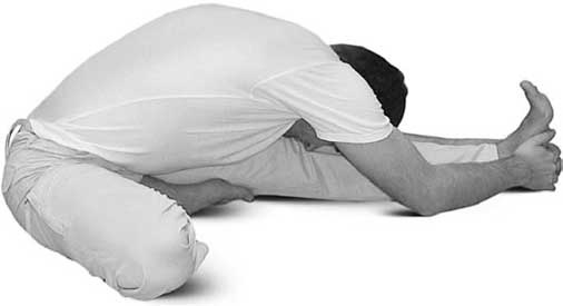 Иллюстрация к книге — Йога для позвоночника и суставов [i_091.jpg]