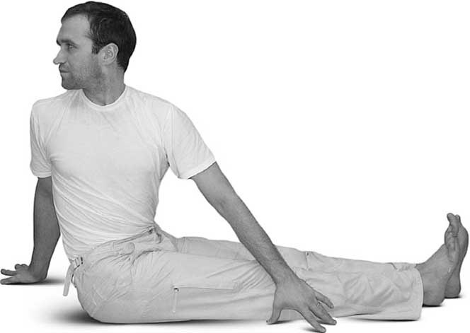 Иллюстрация к книге — Йога для позвоночника и суставов [i_093.jpg]