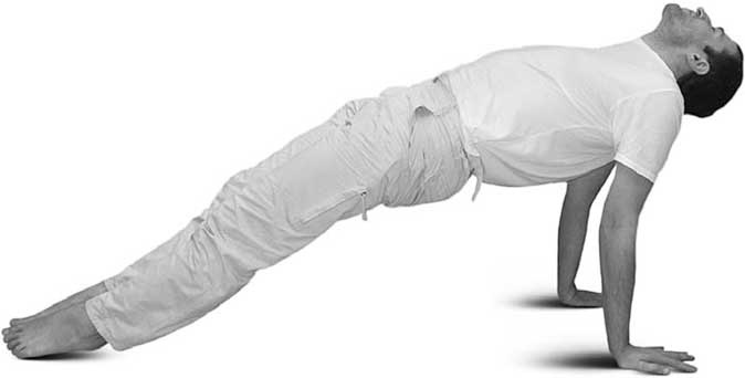 Иллюстрация к книге — Йога для позвоночника и суставов [i_102.jpg]