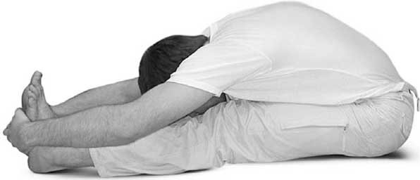 Иллюстрация к книге — Йога для позвоночника и суставов [i_103.jpg]