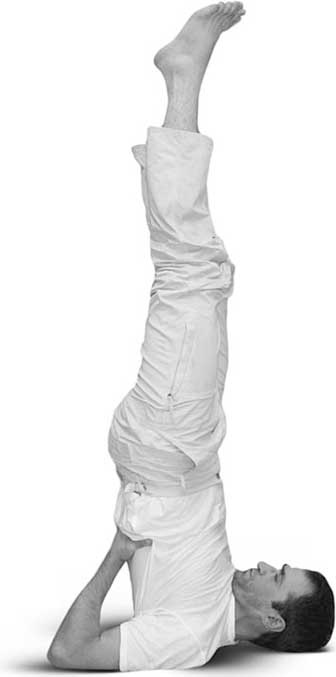 Иллюстрация к книге — Йога для позвоночника и суставов [i_115.jpg]