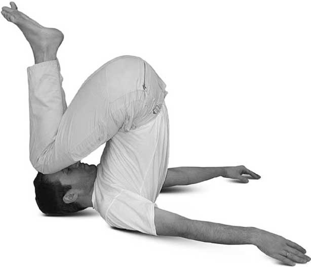 Иллюстрация к книге — Йога для позвоночника и суставов [i_118.jpg]