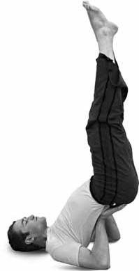 Иллюстрация к книге — Простая йога. Лучшие асаны [_104.jpg]