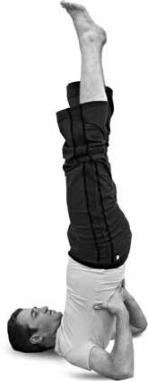 Иллюстрация к книге — Простая йога. Лучшие асаны [_105.jpg]