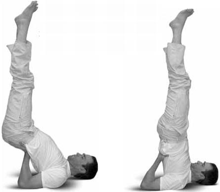 Иллюстрация к книге — Простая йога. Лучшие асаны [_135.jpg]