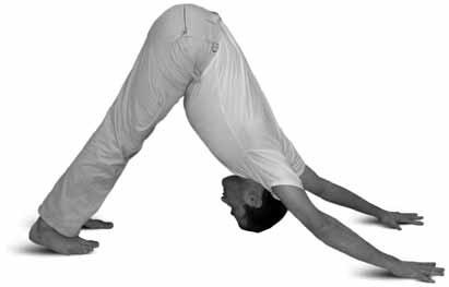 Иллюстрация к книге — Простая йога. Лучшие асаны [_28.jpg]