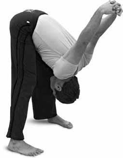 Иллюстрация к книге — Простая йога. Лучшие асаны [_41.jpg]