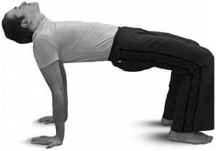 Иллюстрация к книге — Простая йога. Лучшие асаны [_47.jpg]