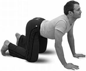 Иллюстрация к книге — Простая йога. Лучшие асаны [_51.jpg]