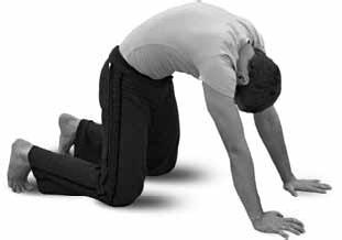 Иллюстрация к книге — Простая йога. Лучшие асаны [_52.jpg]