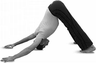 Иллюстрация к книге — Простая йога. Лучшие асаны [_58.jpg]