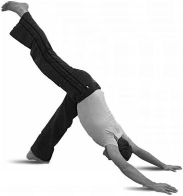 Иллюстрация к книге — Простая йога. Лучшие асаны [_64.jpg]